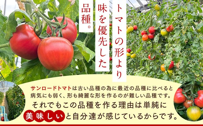 【先行予約 2026年2月～5月出荷予定／限定50箱】全国トマト選手権銅賞受賞トマト『銀丸山口トマト』高糖度トマト　L~Mサイズ 232238_BA05