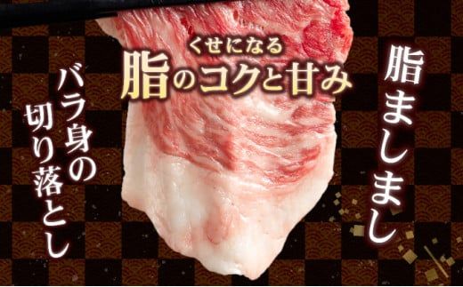 【訳あり】脂ましまし！佐賀牛切り落とし 1.2㎏