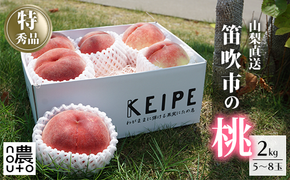 ＜25年発送先行予約＞日本一の生産量 山梨県産 桃 2kg以上 5~8玉  154-030