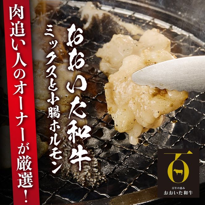 【秘伝のタレ付】おおいた和牛 ミックス・小腸ホルモン 各400g_2679R 焼肉 バーベキュー BBQ ミシュラン 高級店