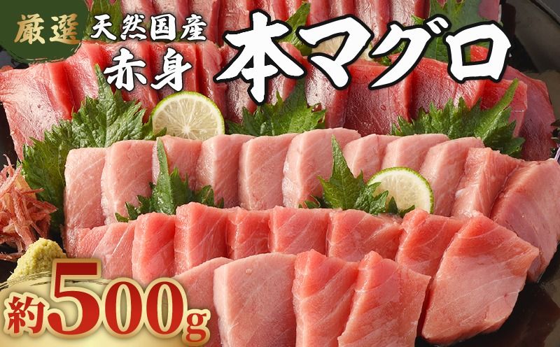 [数量限定] 厳選 天然 本マグロ 赤身 500g 以上 国産 マグロ 鮮魚 刺身 刺し身 漬け丼 海鮮丼 おかず 魚介類 海鮮 海産物 まぐろ 本まぐろ 鮪 ブロック 500グラム 惣菜 冷凍 スピード発送 美阿丸 高知県 室戸市