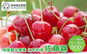 [先行受付] 北海道 仁木町産 さくらんぼ 「佐藤錦」 バラ詰め M-L混合 800g (400g×2パック) 　国産 旬のフルーツ 旬の果物 デザートサクランボ チェリー フルーツ 果物 果物類 仁木町 仁木 [フルーツショップ妹尾観光農園]