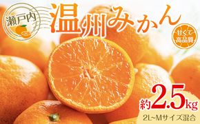 瀬戸内温州みかん（2L～Mサイズ混合）約2.5kg【10月中旬～1月下旬配送予定】 372013_T006-780J