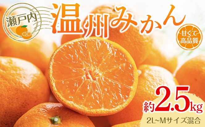 y쌧sz˓B݂i2L`MTCYj2.5kgy10{`1{z\z 372013_T006-780J