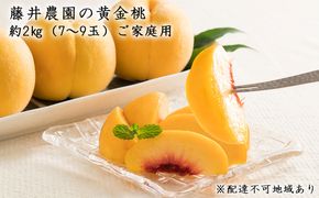 【2026年先行予約】 桃 岡山県産 ご家庭用 もも 2026年 先行予約 ご家庭用 黄金 桃 約2kg（7～9玉） 藤井農園《2026年7月上旬～7月下旬頃出荷》  果物 岡山 里庄町 モモ