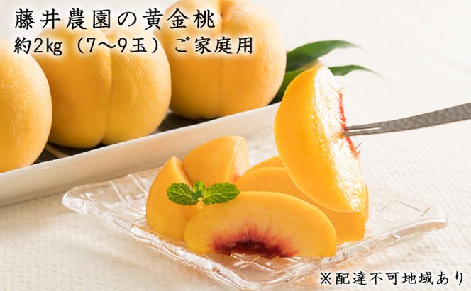 【2026年先行予約】 桃 岡山県産 ご家庭用 もも 2026年 先行予約 ご家庭用 黄金 桃 約2kg（7～9玉） 藤井農園《2026年7月上旬～7月下旬頃出荷》  果物 岡山 里庄町 モモ