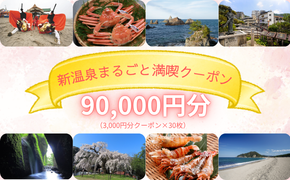新温泉まるごと満喫クーポン(90,000円分)90,000円分×1枚