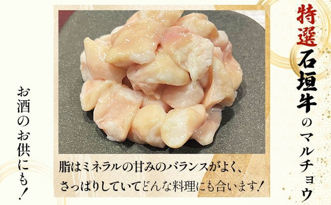 【2025年11月以降順次発送】特選石垣牛の牛スジとマルチョウをご家庭で！！牛スジ500g、マルチョウ300ｇ×2の大容量セット