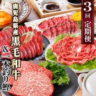 定期便(3回配送)枕崎お楽しみ便(黒毛和牛サーロイン・一本釣りかつおたたき・さしみ) LL-6006 【1462806】