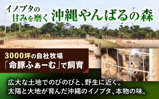 『ハム贅沢セット』 豚肉 ポークステーキ ソーセージ ハム 詰め合わせ お取り寄せ 国産 ギフト 冷凍 沖縄市 / DELICATESSEN NUCHIBUTA [BCAR007]