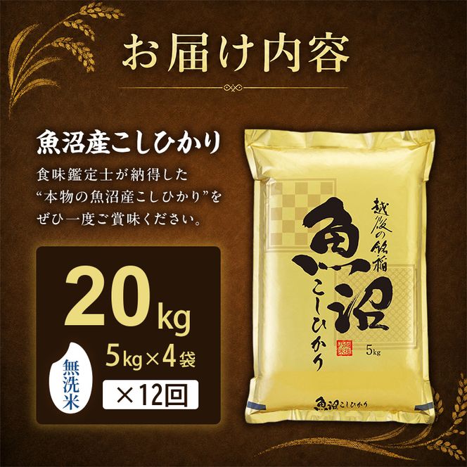 【令和8年産 先行予約】無洗米「12カ月定期便」食味鑑定士厳選！２０ｋｇ（５ｋｇ×４）×12回 白米 安心 安全 こだわり 米 コシヒカリ 定期 新潟県 十日町市