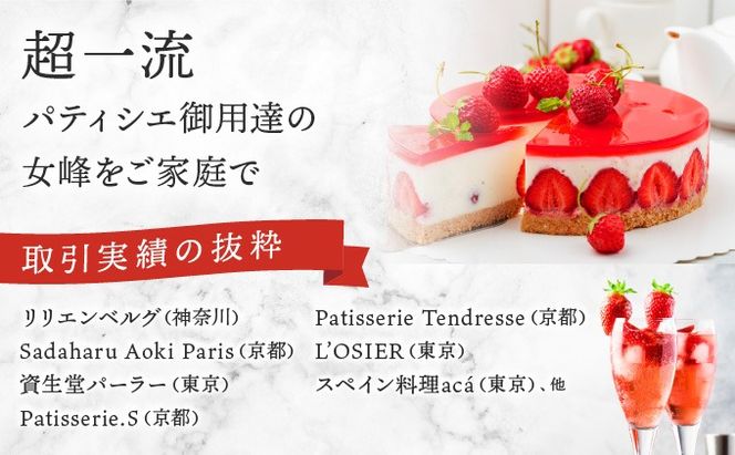 【3回定期便】数量限定 幻の京都亀岡産 高級いちご【女峰】1箱分×3回定期便 ※化学肥料・農薬極力不使用《イチゴ 苺 いちご フルーツ 農家直送》 ※2026年1月中旬～5月下旬頃に順次発送予定
