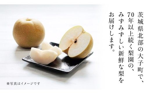 茨城県産 梨 幸水 サイズ おまかせ （2L～ 4L ） 5kg（ 12～16玉 ）【2026年8月中旬発送開始】 (茨城県共通返礼品：大子町) 梨 なし ナシ 果物 くだもの 季節 フルーツ デザート 旬果