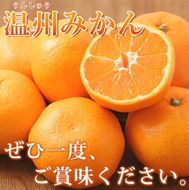 【先行予約】紀州有田産 濃厚完熟 温州みかん 5kg ※2026年11月下旬～2027年1月下旬頃に順次発送予定(お届け日指定不可)/ みかん ミカン 蜜柑 温州みかん 柑橘 フルーツ 果物 くだもの 和歌山【uot006】