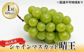 ぶどう 2026年 先行予約 シャイン マスカット 晴王 1房 （1房670g以上） 化粧箱入り マスカット ブドウ 葡萄 岡山県産 国産 フルーツ 果物 ギフト 贈答品 高級 大粒 種無し 贈り物 [№5735-1444]