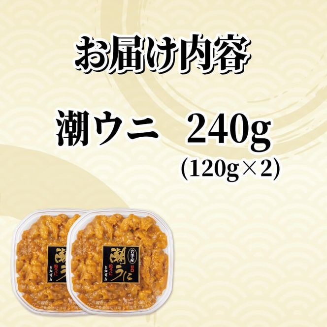 上物 潮ウニ 240g (120g×2) 冷凍 ミョウバン不使用 雲丹 寿司 汐うに 塩うに 海鮮 魚貝類 魚介類 キタムラサキウニ 小分け 塩水 天然 刺身 ウニ丼 ご飯 白米 おつまみ 三陸産 岩手県 大船渡市 [56500613_1]