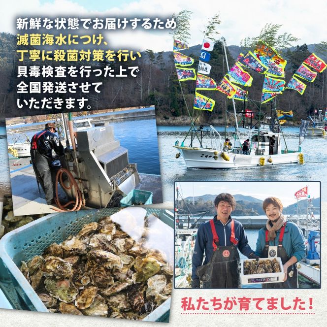 牡蠣 つばき姫 三陸 ブランド牡蠣 2kg 耳吊り 殻付き牡蠣 冷蔵 生食可 生牡蠣 生かき かき カキ 生食 生食用 冷蔵牡蠣 生食牡蠣 牡蠣フライ 牡蠣鍋 牡蠣飯 鍋 アヒージョ パスタ 海 ミルク 椿 姫 期間限定 三陸産 ブランド 三陸牡蠣 殻付き 生食対応 養殖 さんりく 岩手県 大船渡市