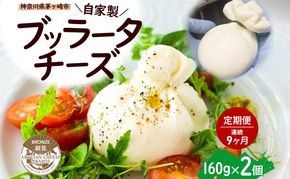 9ヶ月定期便 自家製チーズ ブッラータチーズ160g 2個 出来立て 神奈川県産 幻のチーズ ブッラータ 手作り Osteria e Bottega S 神奈川県 湘南 茅ケ崎 フレッシュチーズ  おつまみ ピザ 神奈川県 茅ヶ崎市