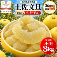 土佐文旦 小玉 3kg 家庭用 日本ギフト大賞受賞 文旦発祥の地 園主こだわり 食べ切りサイズ L～M 高知県土佐市産 高知県産 国産 3キロ ぶんたん ブンタン みかん 柑橘類 高級フルーツ 果物 産地直送 お取り寄せ ギフト 数量限定 季節限定 先行予約 やの一果彩[BQAC016]