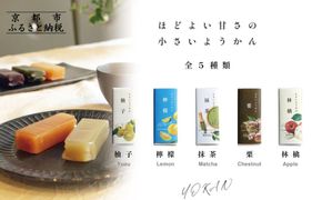 【孔葉堂】小さいようかん5種セット | 京都 ようかん 人気［ 土産店で大人気 梅昆布茶と相性抜群 和菓子 栗羊羹 抹茶 柚子 檸檬 りんご  人気 おすすめ お取り寄せ 通販 送料無料 ふるさと納税 ］ 261009_B-NT06