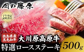 大川原高原牛 特選ロースステーキ 計500g 冷凍便 肉の藤原 《30日以内に出荷予定(土日祝除く)》和牛 希少 大川原高原 牛肉 焼肉 ロース 牛肉 ステーキ 贅沢 バーベキュー BBQ キャンプ ギフト 贈答 徳島県 佐那河内村---sanagouchi_nfw_12_500g---