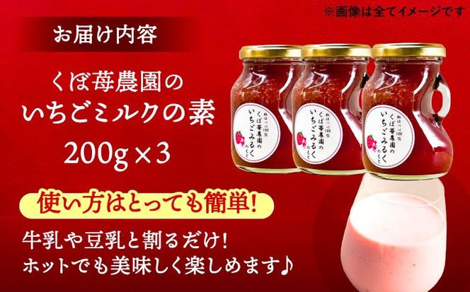 いちごミルクの素 3本セット 果物 フルーツ 紅ほっぺ 愛西市 / くぼ苺農園 【配達不可：離島】[AECJ024]