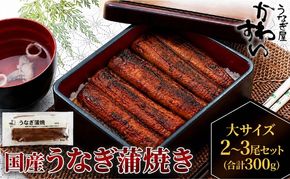 国産うなぎ  蒲焼き 大サイズ 2～3尾セット(合計300g) タレ付き 国産 うなぎ ウナギ 鰻 蒲焼 かば焼き セット 惣菜 冷凍 土用