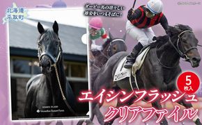 【エイシンフラッシュ】クリアファイル5枚入り BRTV033