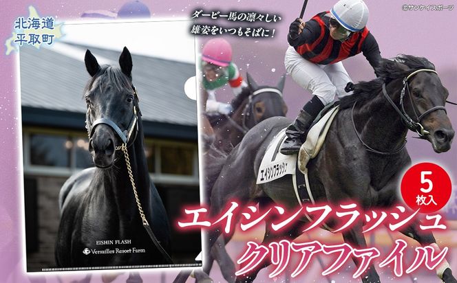 【エイシンフラッシュ】クリアファイル5枚入り BRTV033