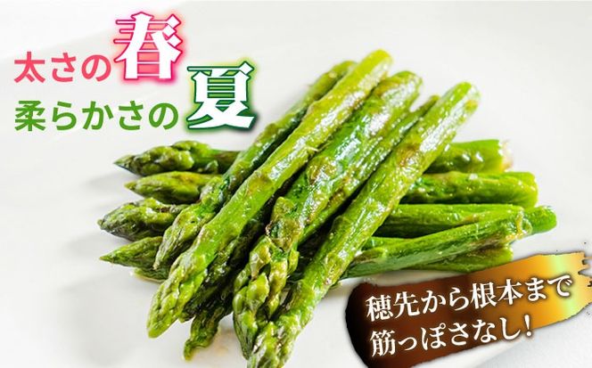 【3回定期便】【星のアスパラ】春・夏 の グリーン アスパラガス 約1kg / アスパラ 野菜 / 南島原市 / ほしのYA[SEY016]