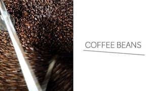 コーヒー スペシャルティコーヒー 200g×4種 選べる 豆 粉 飲み比べ セット 詰め合わせ 飲み比べセット コーヒー豆 コーヒー粉 焙煎 飲料 飲み物 ドリンク