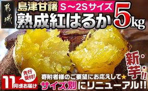 先行受付!【11月お届け】島津甘藷　熟成紅はるか 5kg(S～2S)_LE-A7-001-5kg-m-11