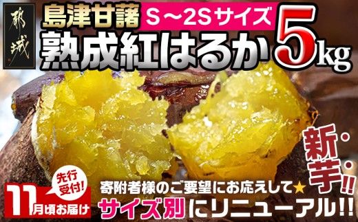 先行受付!【11月お届け】島津甘藷　熟成紅はるか 5kg(S～2S)_LE-A7-001-5kg-m-11