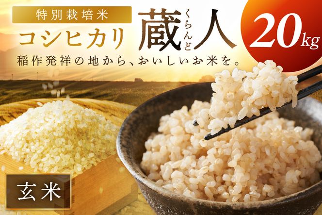 令和8年産 特別栽培米コシヒカリ 蔵人（くらんど） 玄米20kg 特別栽培米 コシヒカリ 蔵人 おこめ 京都産 ふるさと納税 玄米 ふるさと納税 コシヒカリ こしひかり　GF00026