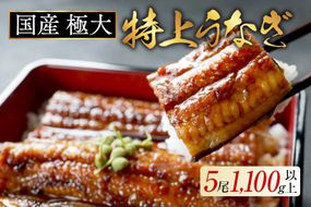 （6月）OD5特上うなぎ(220g×5尾)【OT000OD50_006】