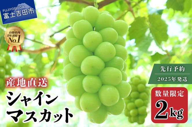 【2025年発送】【数量限定】【期間限定】産地直送 高級シャインマスカット2kg以上（3～4房）　フルーツ 山梨県産 シャインマスカット 果物 旬 数量限定 期間限定 先行予約 高級 2025年発送 山梨 富士吉田 フルーツ 富士吉田市