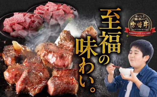 畜産農家応援! 宮崎牛サイコロステーキ2種セット500g×2パック_AC-N206