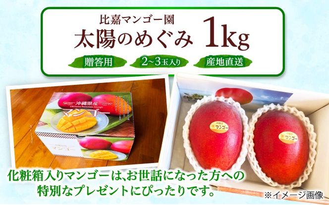 【2026年7月上旬より順次発送】【贈答用】沖縄市産マンゴー「太陽のめぐみ」 1kg(2〜3玉) (化粧箱入り) 南国フルーツ 産地直送 新鮮 沖縄県産 ギフト 沖縄市 / 比嘉マンゴー園[BCEW001]