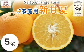 【先行予約】Saito Orange Farm ご家庭用 新甘夏5kg （2027年3月下旬頃より順次発送予定）IKTAQ029