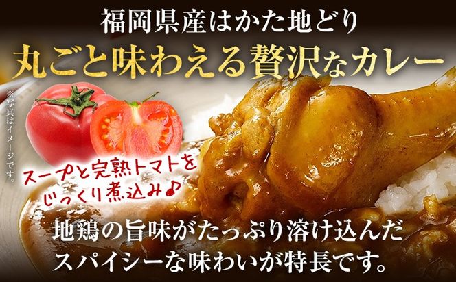 【ふるさと納税】はかた地どり 手羽元カレー 中辛 3食 レトルトカレー チキンカレー 福岡県産 地鶏 お取り寄せ グルメ ギフト スパイス 惣菜 おかず 簡単調理 時短 おうちごはん