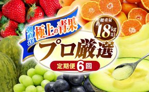 【年6回 奇数月コース】果物屋が選ぶ旬のフルーツ定期便 いちご メロン ハウスみかん 梨 柿 など / 南島原市 / 贅沢宝庫 [SDZ021]