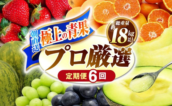 【年6回 奇数月コース】果物屋が選ぶ旬のフルーツ定期便 いちご メロン ハウスみかん 梨 柿 など / 南島原市 / 贅沢宝庫 [SDZ021]