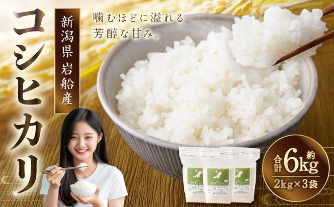 【令和7年産米】新潟県村上市岩船産 コシヒカリ6kg（2kg×3袋）1099004