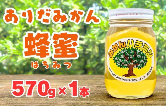 ありだみかん蜂蜜（570ｇ／化粧箱入り）　BC01