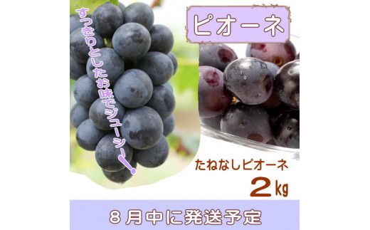 【定期便】夏をお届け！フルーツ定期便！小玉すいか・桃・ピオーネ（全3回）/ フルーツ 果物 すいか ひとりじめ7 もも モモ ぶどう ブドウ 旬 定期便 【tkb345】
