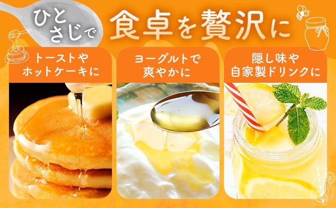 【CF】けんちゃんちのはちみつ 選べる 200g 300g 460g 730g《30日以内に出荷予定（土日祝除く）》ふるさと納税 はちみつ ハチミツ 蜂蜜 国産蜂蜜 天然蜜蜂 徳島県 佐那河内村 送料無料---tsm_mkf1_30d_25_6500_200g---