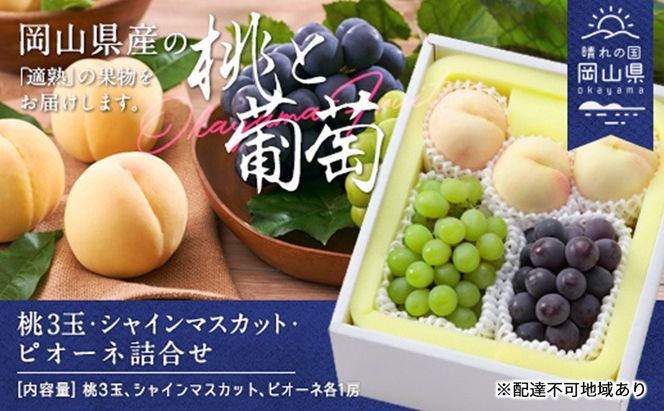 桃 ぶどう 2026年 白桃 晩生種 3玉 シャイン マスカット 1房 ニュー ピオーネ 1房 合計約1.8kg もも 葡萄 岡山県産 国産 フルーツ 果物 ギフト [№5735-1903]