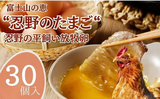 忍野の平飼い放牧卵　30個　KC009｜たまご 卵かけご飯 タマゴ 卵 健康 高級卵 放牧卵