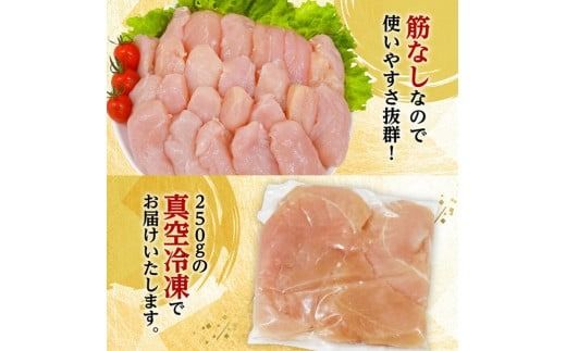 宮崎県産若鶏　筋なしささみ5kg（250g×20） 【 鶏肉 とり肉 ささみ 真空パック 】[D11619]