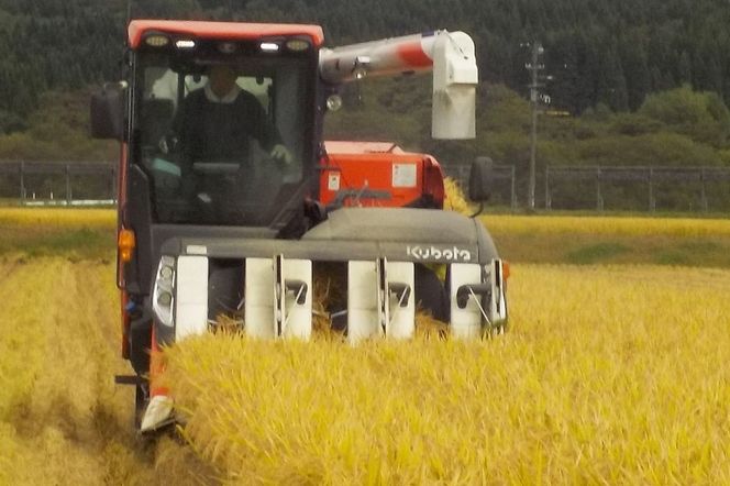 令和7年産 発芽玄米（2kg×2袋）発芽米 玄米 ビタミン カルシウム ギャバ ミネラル 食物繊維|hkyu-080401